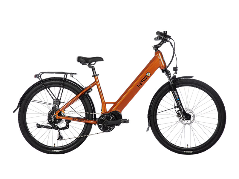 Vélo assistance électrique 500Wh