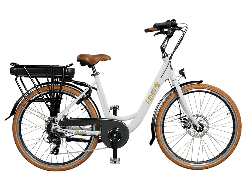 Vélo assistance électrique 720Wh